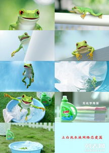 廣州番禺企業宣傳片與三維動畫展示，為何騰視文化動漫制作備受青睞？